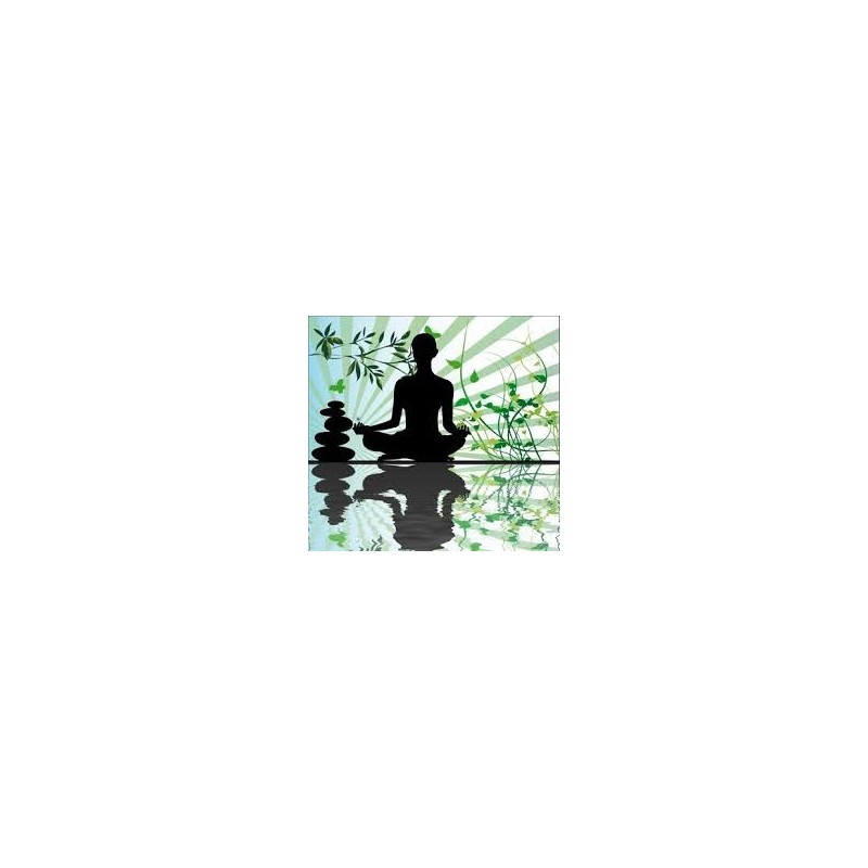 Pack 3 consultations de Fleurs de Bach