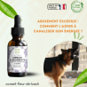 Mélange Fleurs de Bach Aboiements Excessifs pour les Chiens