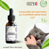Fleurs de Bach Animaux Agressifs un mélange efficace pour son bien-être