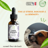 Fleurs de Bach Chien Stressé un mélange naturel pour le reconforter