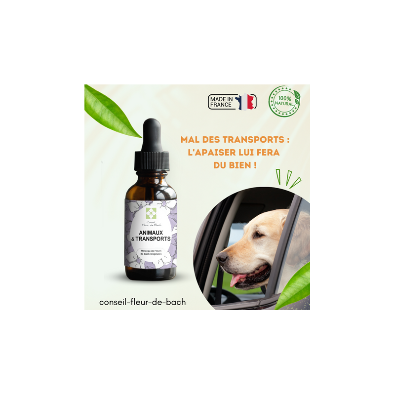 Fleurs de Bach pour le mal des transports des animaux- Voyagez serein
