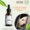 Fleurs de Bach pour le mal des transports des animaux- Voyagez serein