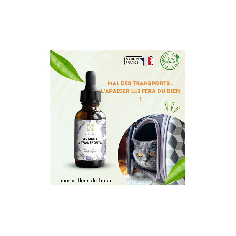 Fleurs de Bach pour le mal des transports des animaux- Voyagez serein