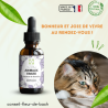 Fleurs de Bach pour animaux triste - Comment les aider naturellement