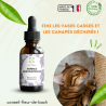 Fleurs de Bach Animaux Destructeurs