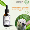 Fleurs de Bach Animaux Adoption un mélange efficace pour son bien-être