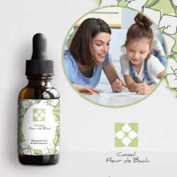 Consultation-Entretien Fleur de Bach avec Angélique conseillère agréée