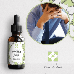 Fleur de Bach Stress- Apaisez et gérez votre stress naturellement