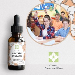 Fleurs de Bach Rentrée Scolaire pour gérer la rentrée des classes sereinement