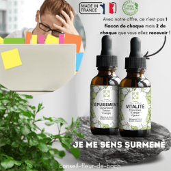 Je n'arrive plus à gérer ma vie professionnelle et ma vie personnelle - Conseil-fleur de bach vous aide