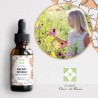 Fleurs de Bach Sans Alcool  pour les Enfants Rêveurs et Distraits