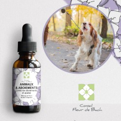 Mélange Fleurs de Bach Aboiements Excessifs pour les Chiens