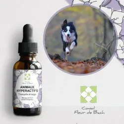 Fleurs de Bach Animaux Hyperactifs un mélange Efficace et Naturel
