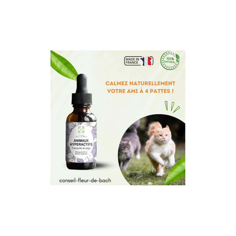 Fleurs de Bach Animaux Hyperactifs un mélange Efficace et Naturel