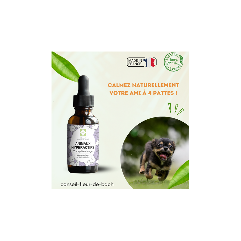 Fleurs de Bach Animaux Hyperactifs un mélange Efficace et Naturel