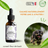 Fleurs de Bach Animaux Hyperactifs un mélange Efficace et Naturel