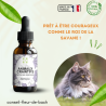 Fleurs de Bach calment et rassurent les Animaux Craintifs-Peureux