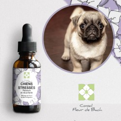 Fleurs de Bach Chien Stressé un mélange naturel pour le reconforter
