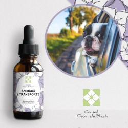 Fleurs de Bach pour le mal des transports des animaux- Voyagez serein