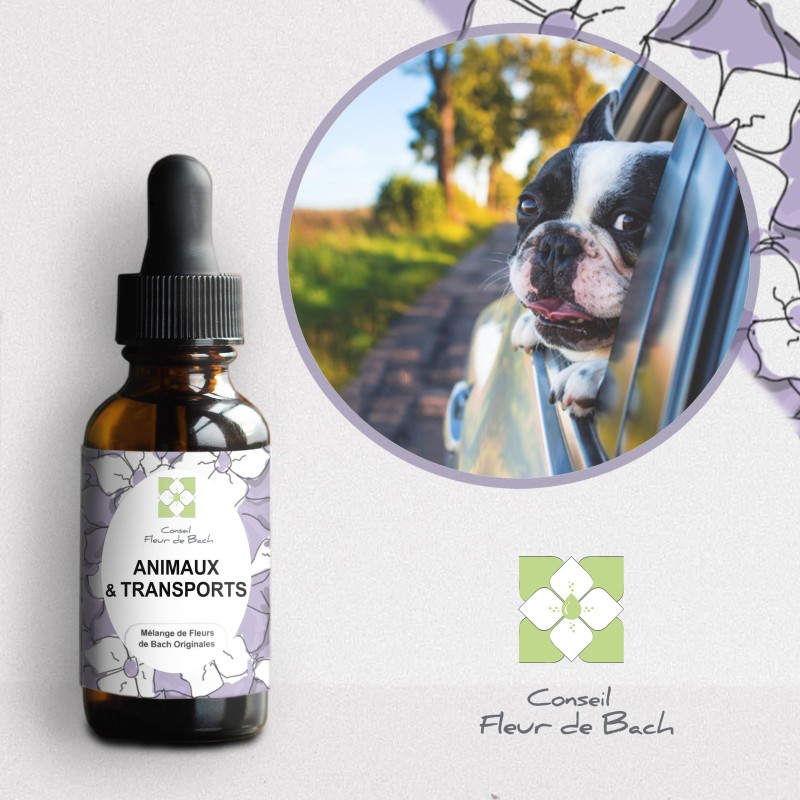 Fleurs de Bach pour le mal des transports des animaux- Voyagez serein Fleurs de Bach pour le mal des transports des animaux- Voyagez serein