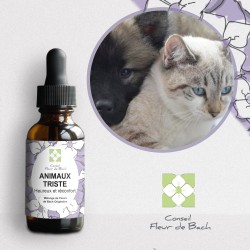 Fleurs de Bach pour animaux triste - Comment les aider naturellement