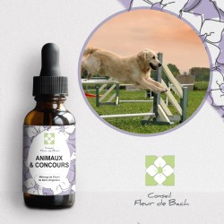 Fleurs de Bach Animaux et Concours