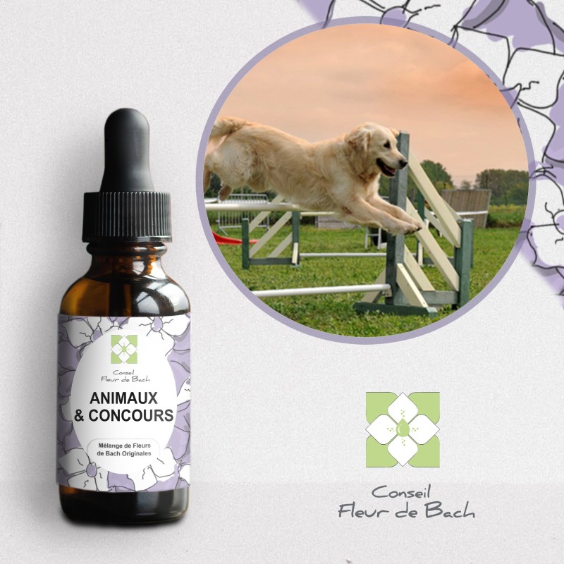 Fleurs de Bach Animaux et Concours Fleurs de Bach Animaux et Concours
