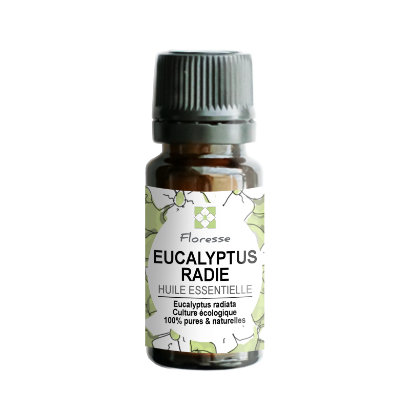 FLORESSE - Huile essentielle de EUCALYPTUS RADIE - 100% Pure, Naturelle, Intégrale. FLORESSE - Huile essentielle de EUCALYPTUS RADIE - 100% Pure, Naturelle, Intégrale.