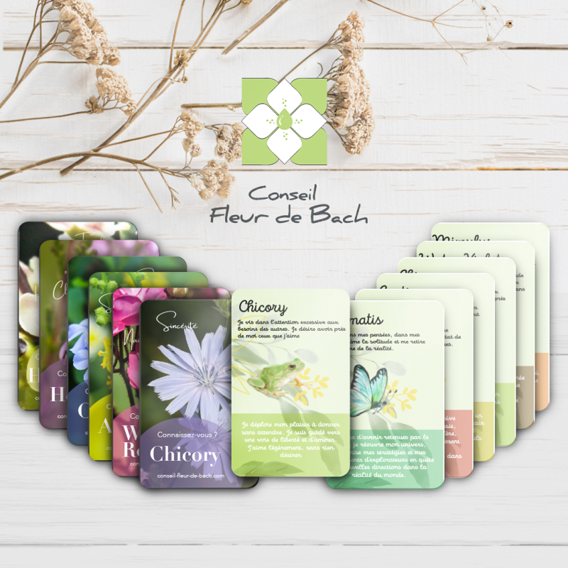 CARTE DE FLEURS DE BACH - 38 CARTES DE ANGELIQUE