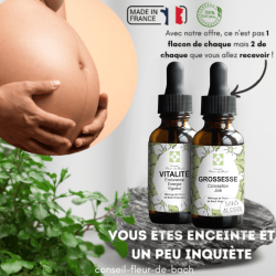 Vous êtes enceinte et un peu inquiète - Conseil fleur de Bach