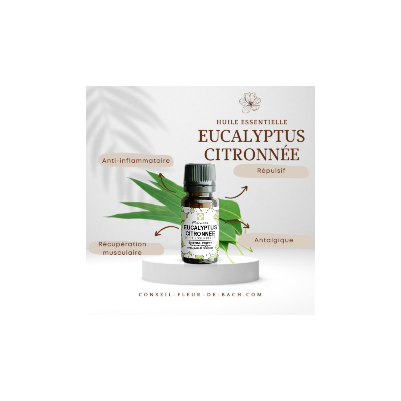 Huile essentielle d'eucalyptus citronnée - 100% Pure, Naturelle, Intégrale.