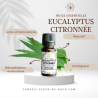 Huile essentielle d'eucalyptus citronnée - 100% Pure, Naturelle, Intégrale.