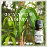 FLORESSE - Huile essentielle de EUCALYPTUS RADIE - 100% Pure, Naturelle, Intégrale.