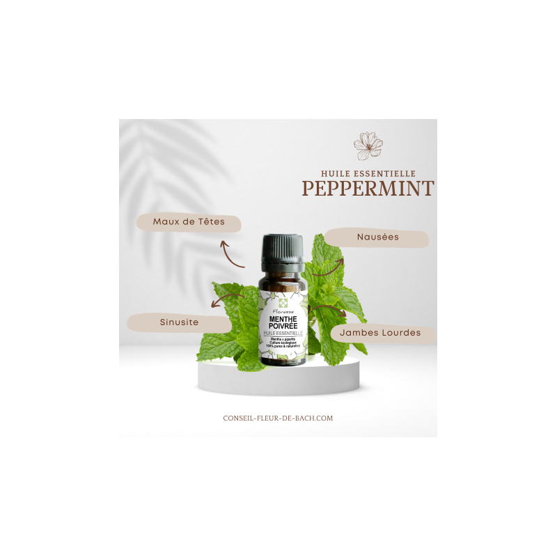 Huile essentielle de Menthe poivrée - 100% Pure, Naturelle, Intégrale.
