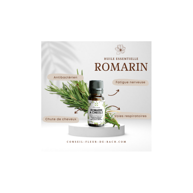 Huile essentielle de Romarin - 100% Pure, Naturelle, Intégrale. FLORESSE