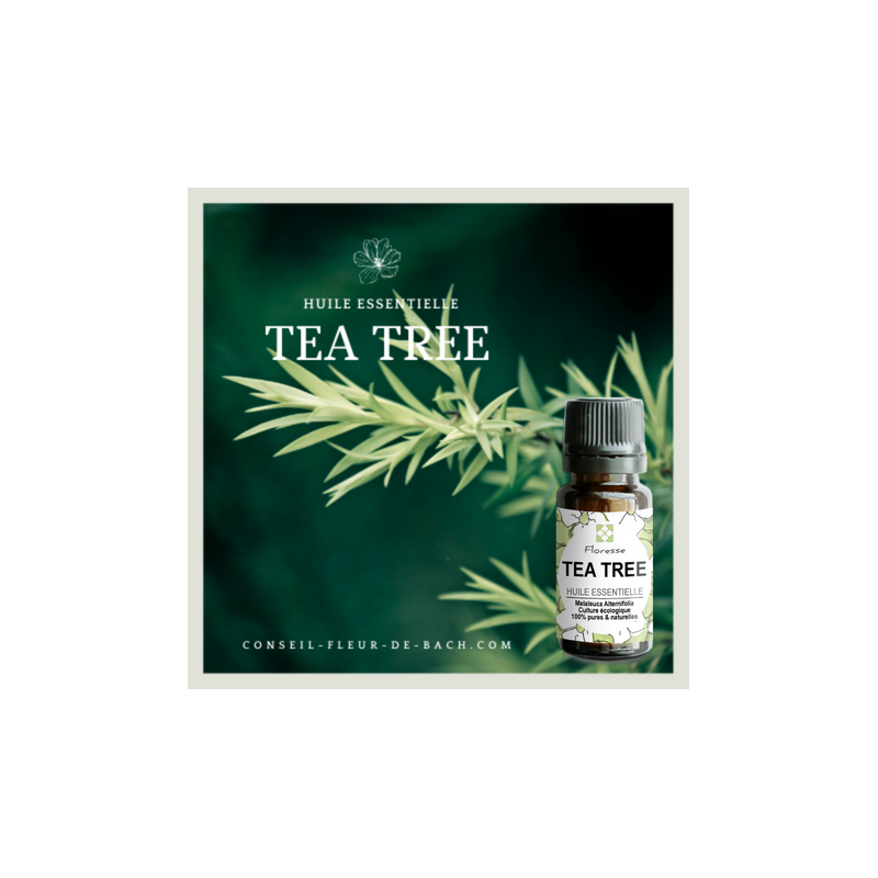 Floresse - Huile essentielle de TEA TREE- 100% Pure, Naturelle, Intégrale.