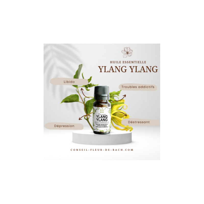FLORESSE - Huile essentielle de YLANG YLANG - 100% Pure, Naturelle, Intégrale.