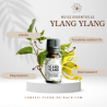 FLORESSE - Huile essentielle de YLANG YLANG - 100% Pure, Naturelle, Intégrale.