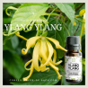 FLORESSE - Huile essentielle de YLANG YLANG - 100% Pure, Naturelle, Intégrale.