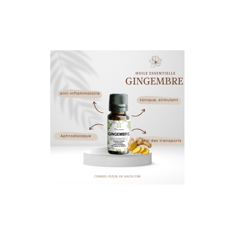 Huile Essentielle de GINGEMBRE
