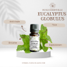 HUILE ESSENTIELLE D'EUCALYPTUS GLOBULUS