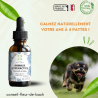 Fleurs de Bach Animaux Hyperactifs Sans Alcool- un mélange Efficace et Naturel