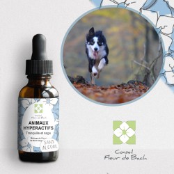 Fleurs de Bach Animaux Hyperactifs Sans Alcool- un mélange Efficace et Naturel