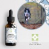 Fleurs de Bach Animaux Hyperactifs Sans Alcool- un mélange Efficace et Naturel