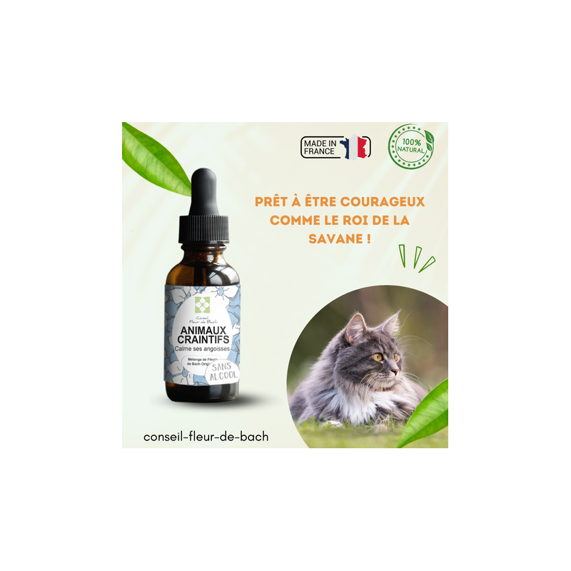 Fleurs de Bach calment et rassurent les Animaux Craintifs-Peureux