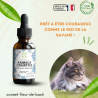 Fleurs de Bach calment et rassurent les Animaux Craintifs-Peureux