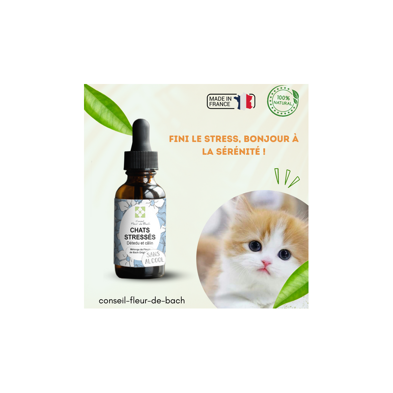 Fleurs de Bach Chat Stressé Sans Alcool