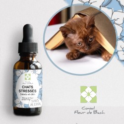 Fleurs de Bach Chat Stressé Sans Alcool