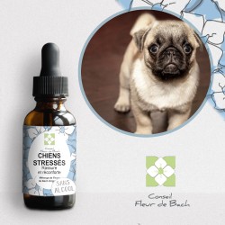 Fleurs de Bach Chien Stressé un mélange naturel pour le reconforter
