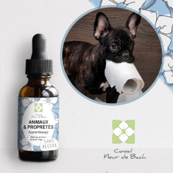 Fleurs de Bach Animaux et Propreté un moyen naturel de le rendre Propre